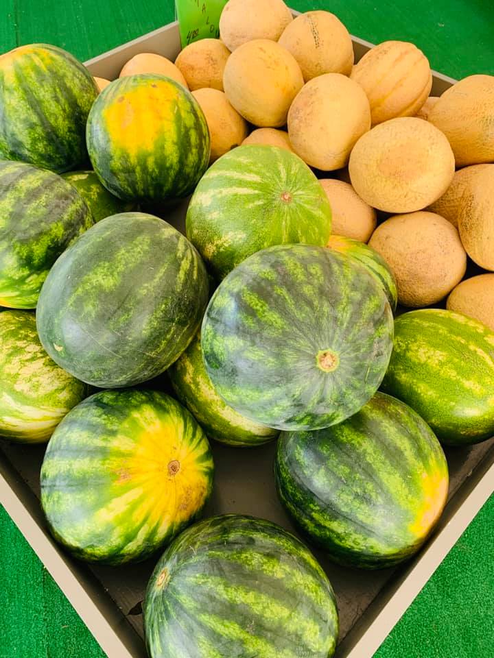 Watermelon Display